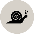 Kukka Werte Slow